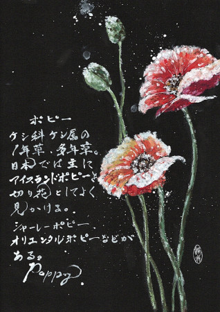 2025.7.23／向日葵／A4　297ｘ210mm